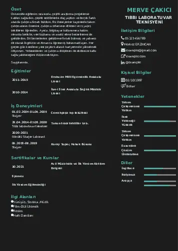 Laboratuvar Teknisyeni Cv Örnekleri cv indir